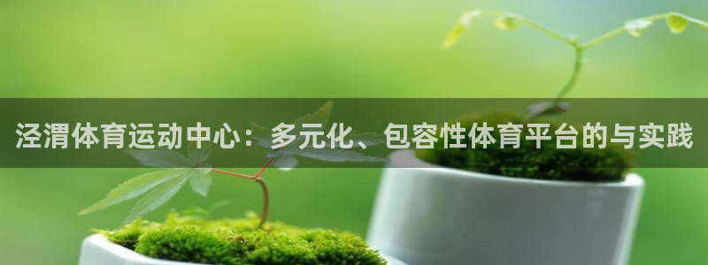 J9官网下载平台注册要钱吗:泾渭体育运动中心:多元化、包容性