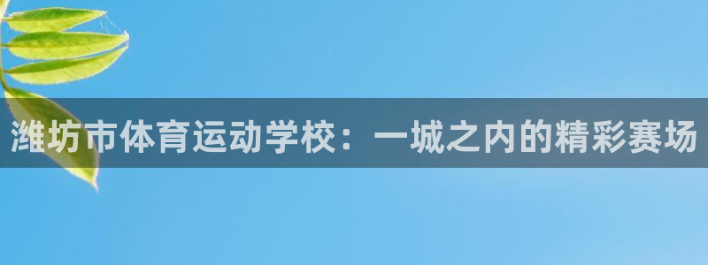 J9官网下载平台注册要钱吗安全吗:潍坊市体育运动学校:一城之