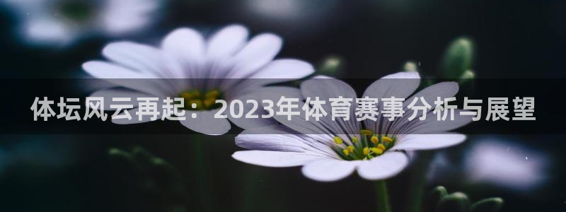 J9官网下载招商:体坛风云再起:2023年体育赛事分析与展望