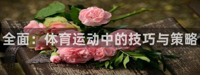 J9官网下载招商电话地址查询:全面:体育运动中的技巧与策略
